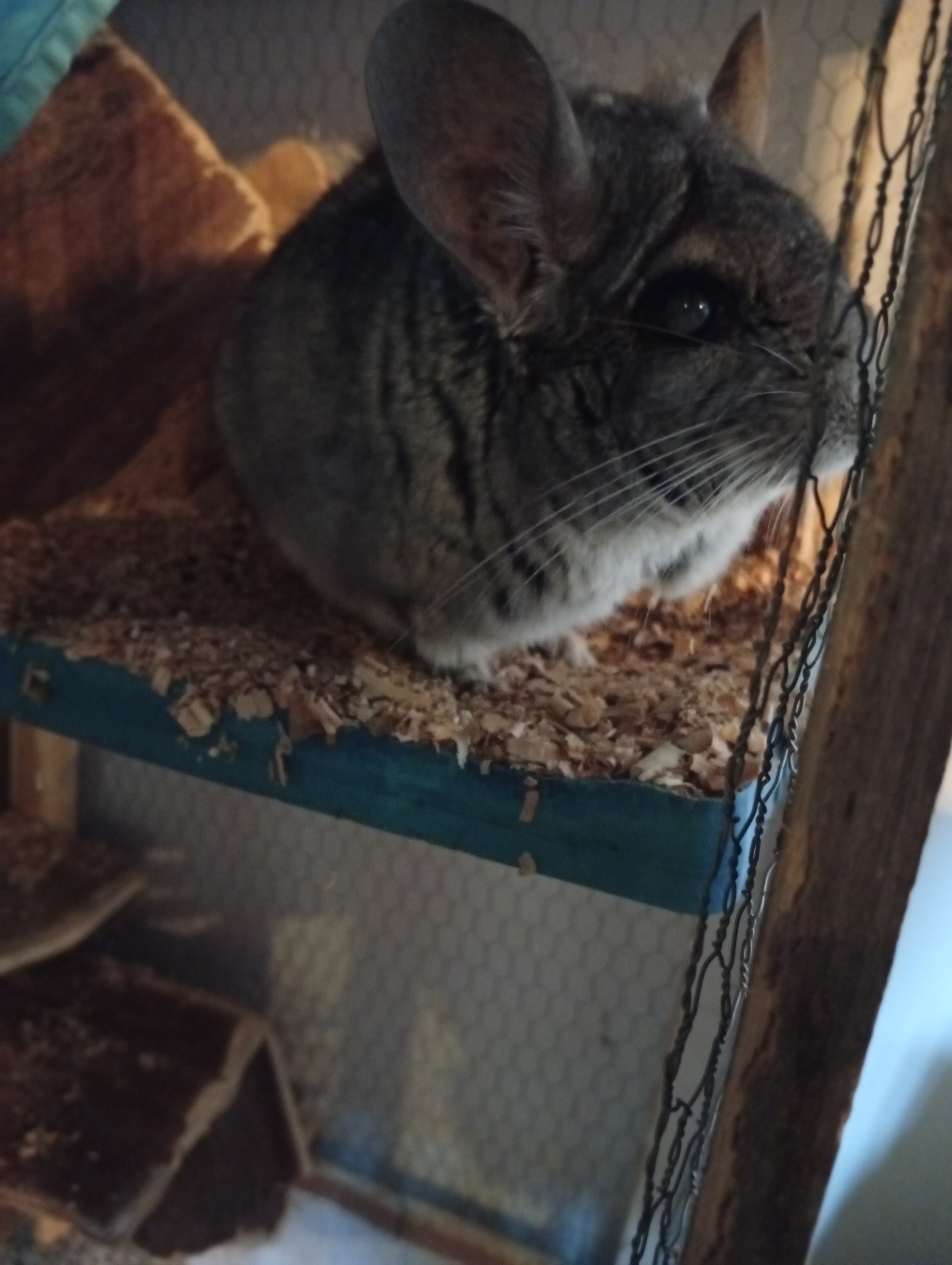 IMG_20250925_174948 - Copie.jpg